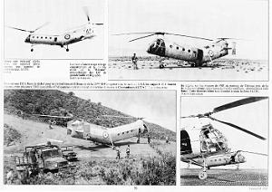 303-L'ALAT EN AFN_000023